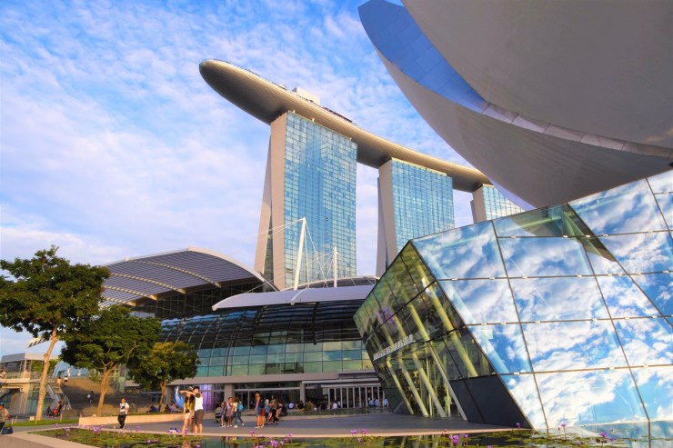 64928182_2309033962519729_4794126767348514816_o